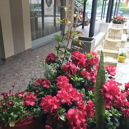 Cinzia Hotel Villanova Mondovì