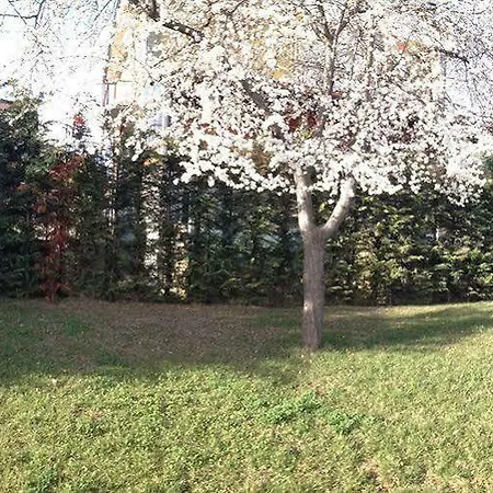 Cinzia Otel Villanova Mondovì